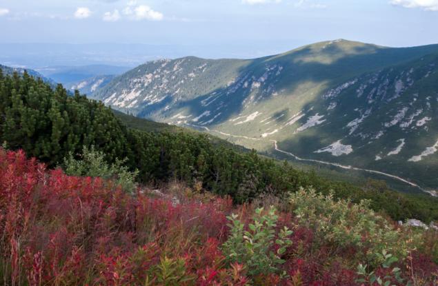 Застрашени местообитания в България: тревни и храстови