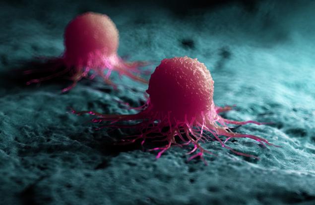 Учените откриха как да предизвикват смъртта на раковите клетки в лабораторни условия