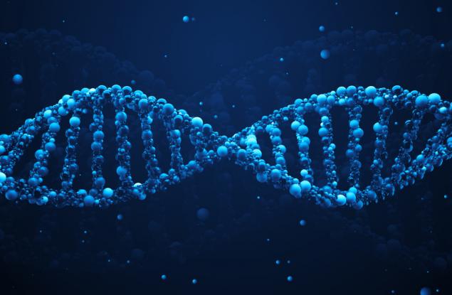 Човешкият живот може би има предел и той е 115 години