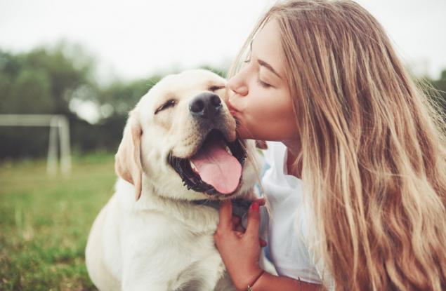 Взаимодействията с вашето куче са полезни за мозъка