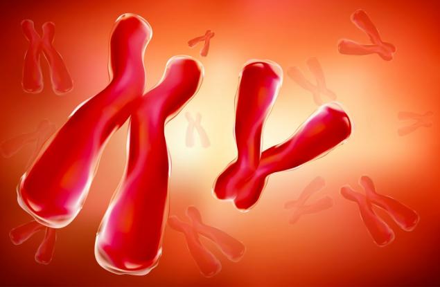 Загубата на Y хромозомата може да обясни защо някои мъже умират по-рано от жените