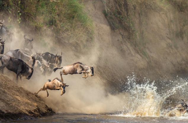 Как фотографията ни свързва
