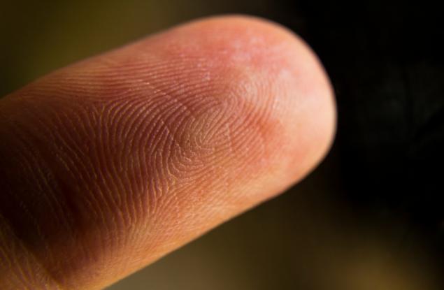 Пръстите ни са много по-чувствителни, отколкото предполагаме