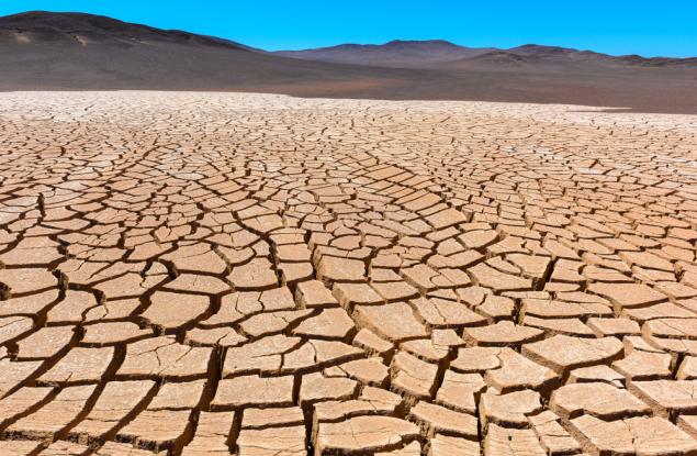 Събиране на вода от мъгла – иновативно решение за сухите региони