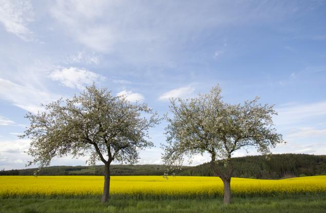 Виц: Как да разпознаваме пияниците