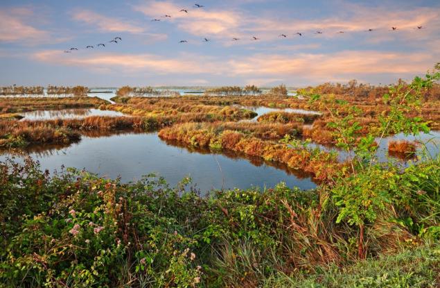 Суша и горещини увеличават солеността в делтата на река По