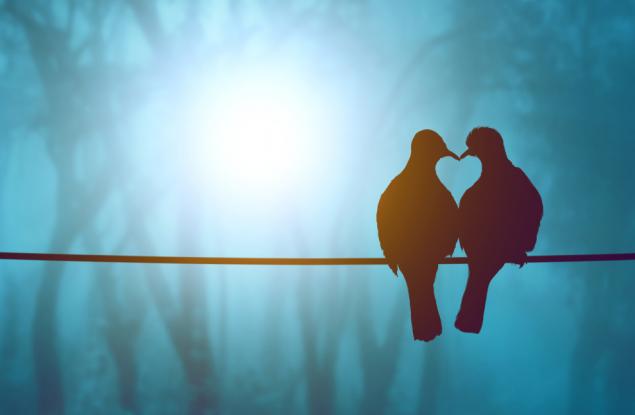 Хенри Милър: забравяме, че имаме криле