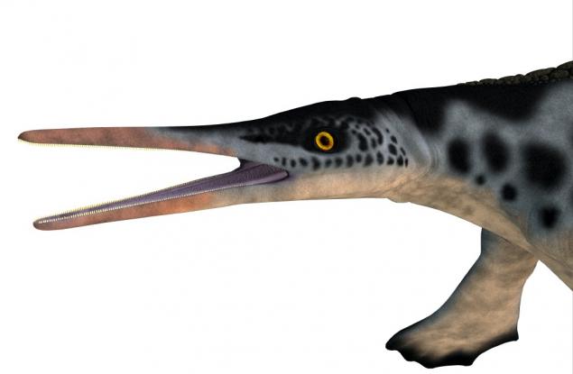 Древно морско влечуго е използвало начин на хранене, типичен за съвременните китове