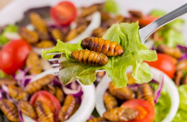 Новите храни могат да се превърнат от противни във вкусни с развитието на възприятията на хората