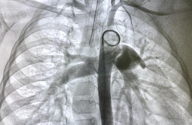 Историята на лекаря, който връзва медицинска сестра, сбива се с друг лекар и спечелва Нобел