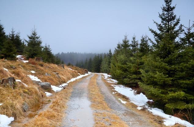 Януари 2022 г. – топъл старт за новата година