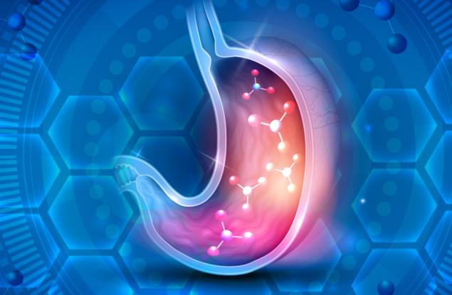 Бактериите в стомашно-чревния тракт формират вкусовете ни