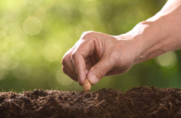 Притча: Семето на императора