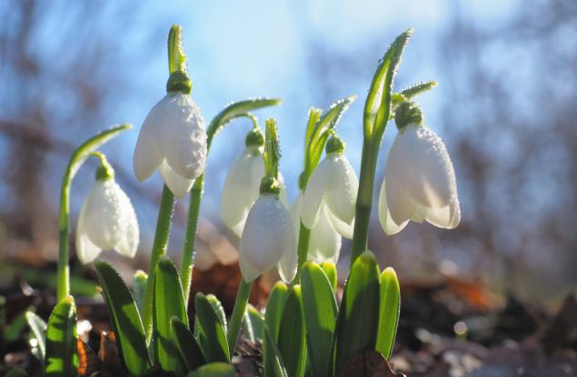 Март 2021 г. – отново по-топъл от обичайното, но най-студен за последните 6 години