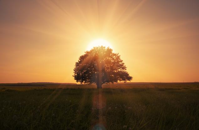 5 x 5 или как да изживеем новата година наистина различно