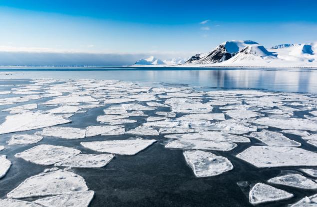 Микропластмасите във водорасли под арктическия лед заплашват хранителната верига на хората
