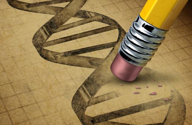 Нова генна терапия използва парацетамол, за да пребори генетични заболявания