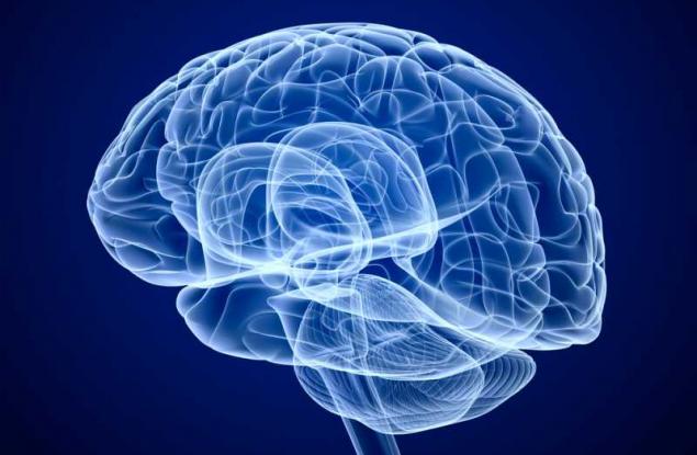 Тест: Проверете как работи мозъкът ви за няколко секунди