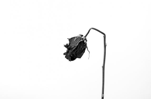 Юнг за самотата