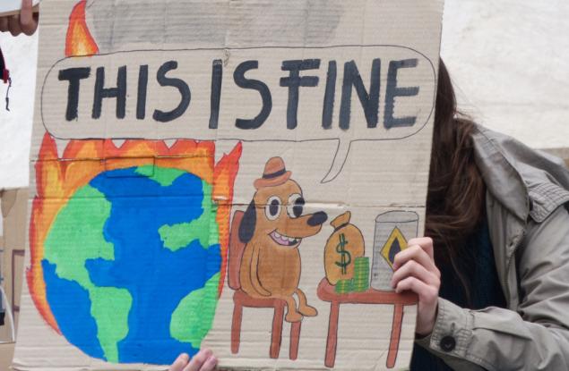 Новият еко вайб: как климатичната криза навлиза в поп културата през мемета, плейлисти и минисериали