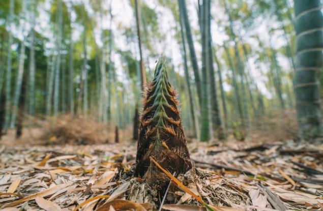 Специалистът по най-бърз растеж