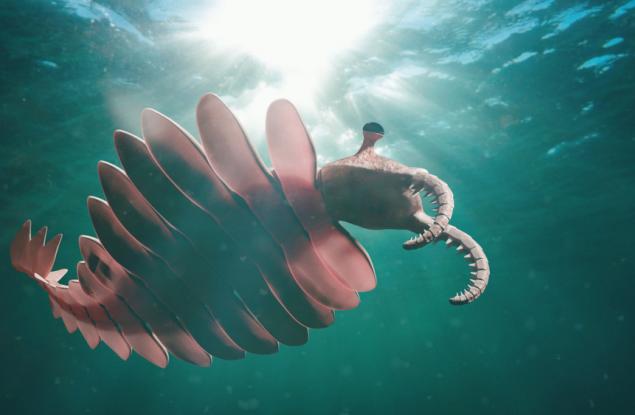 Новооткрито място разкрива 120 млн. години от историята на Земята