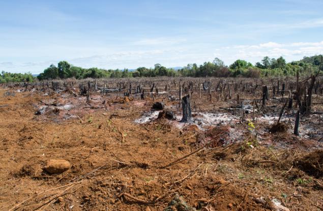 Учени прогнозират по-тежка климатична криза заради пожарите в Амазония 