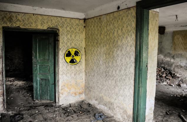Плесенни гъби от Чернобил могат да бъдат използвани като радиационен щит в космоса