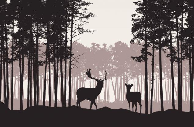 Всяко зло за добро