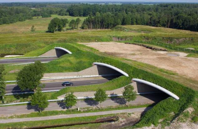 7 интересни факта, които доказват, че Нидерландия е страната на бъдещето