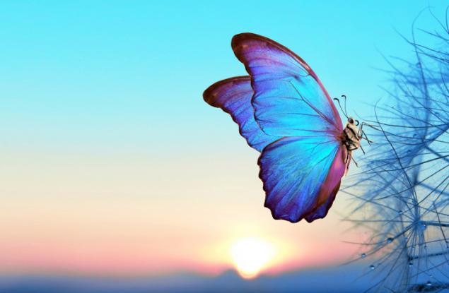 Защо понякога ни мразят без причина