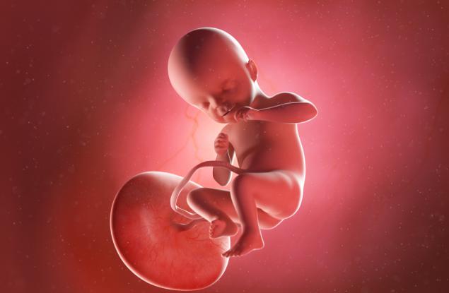 Здравите плаценти имат тумороподобна структура и съдържат множество генетични мутации