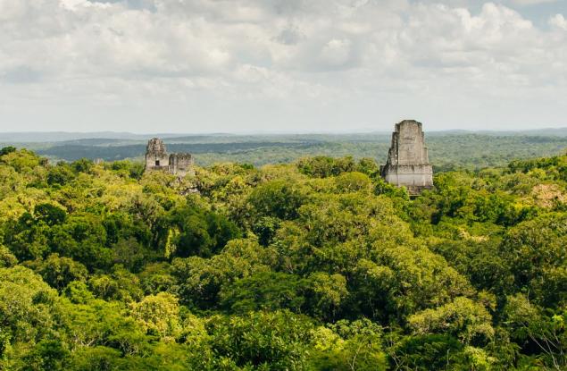 Откриха мистериозна цитадела, скрита в древен град на маите