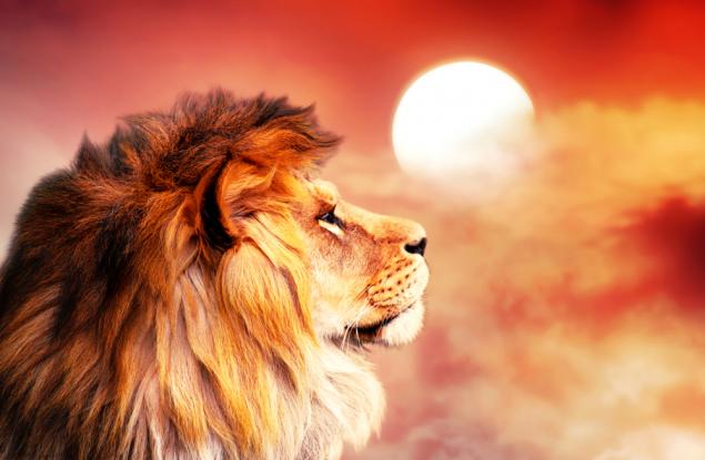 Стивън Кинг за честта