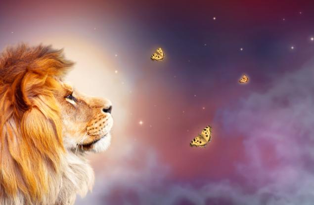 Емоционалното оръжие на 12-те зодии