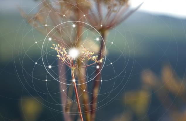 Тайната на живота