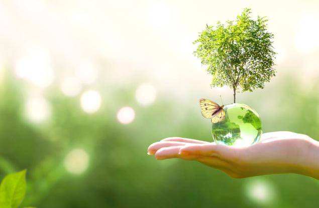 Защо правилата понякога са полезни