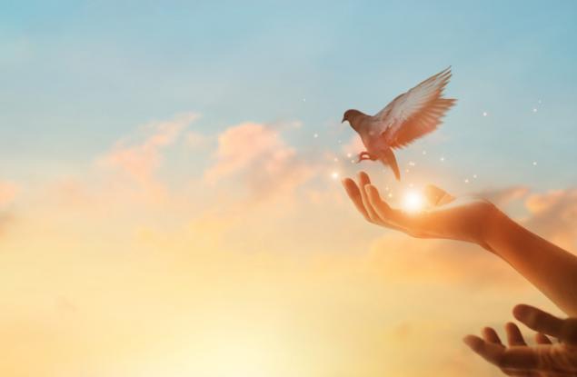 Емили Дикинсън за надеждата