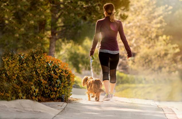 Ежедневната разходка може да добави 7 години към живота ви