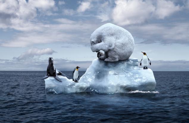 Природните и климатичните кризи – две страни на една и съща монета