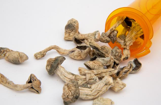 Терапията с псилоцибин оказва значителни антидепресивни ефекти