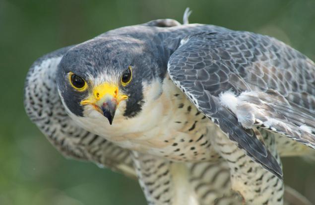 По-бързи от Формула 1