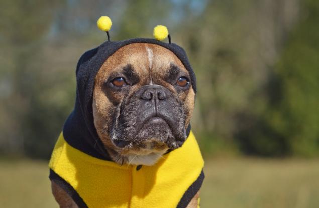 10-те най-омразни неща на всяка зодия