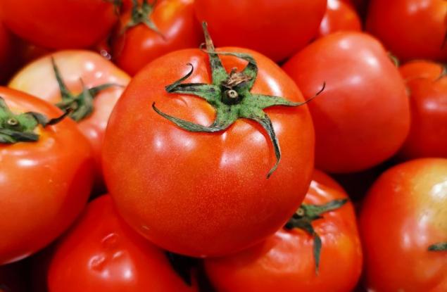 Как доматите загубиха вкуса си