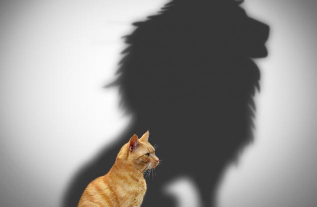 11 начина как да подобрим самочувствието си