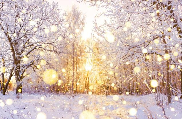 Идва ли студена зима и какъв може да е приносът на полярния вихър?