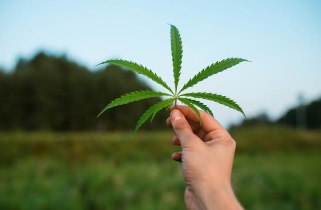 Стотици се наредиха за марихуана, след като Нидерландия обяви, че затваря кофишоповете заради коронавируса