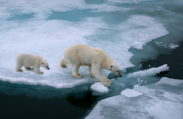 2024 година започва с нови климатични рекорди 