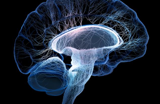 Нови открития хвърлят допълнителна светлина върху увреждащите мозъка химикали
