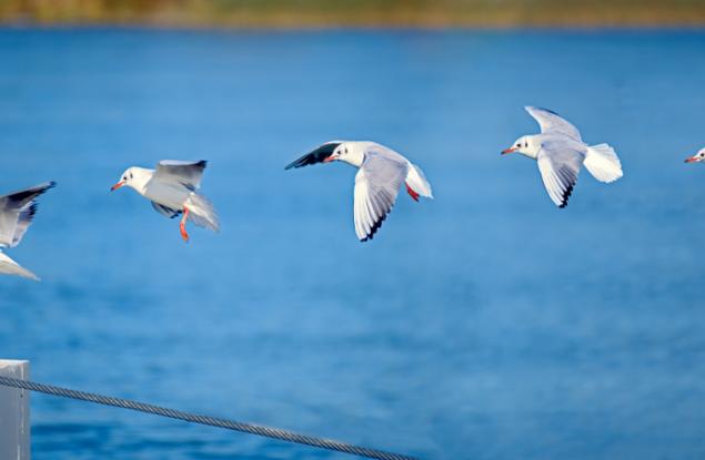 За намеренията, реалните действия и щастието ни
